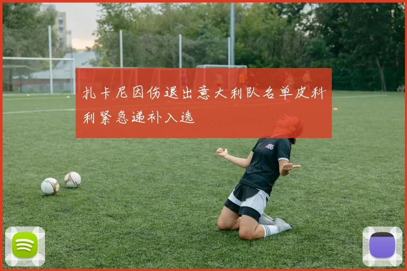 扎卡尼因伤退出意大利队名单皮科利紧急递补入选