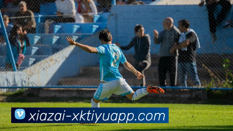 星空体育平台生态图