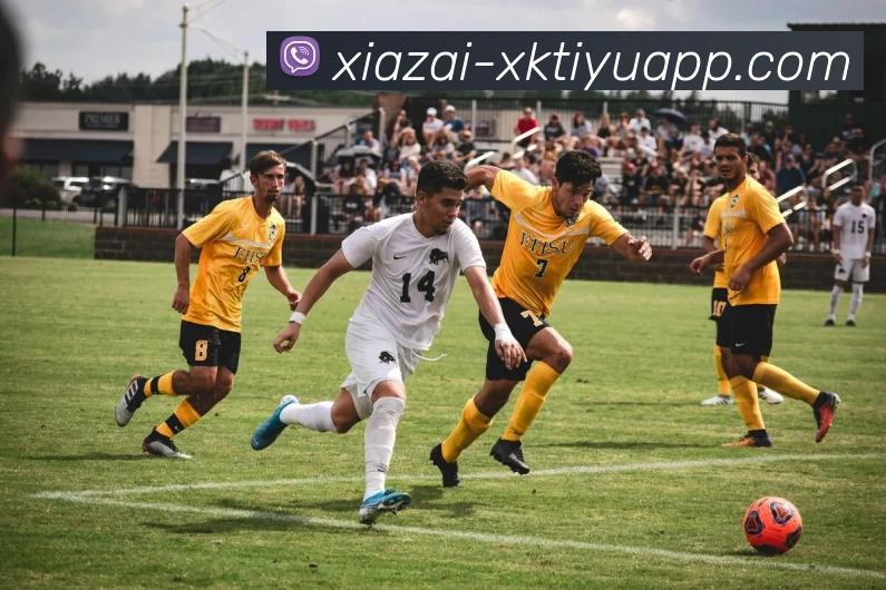 星空体育APP 封面图